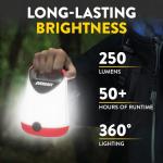 Eveready LED Lantern X-250: Super Bright 2-Pack