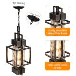 15" Modern Black and Gold Indoor Pendant Lantern