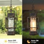 15" Modern Black and Gold Indoor Pendant Lantern