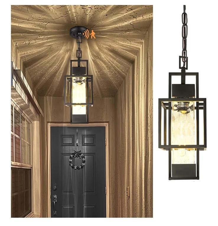 15" Modern Black Hanging Indoor/Outdoor Lantern