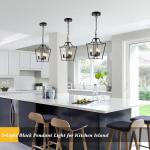 Black Adjustable 3-Light Farmhouse Lantern Pendant