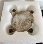 Gold 4-Light Lantern Chandelier Pendant Fixture