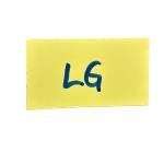 Thor's Hammer Necklace - Odin Norse Collection