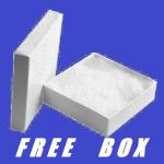 Thor's Hammer Pendant on Sterling Silver Necklace