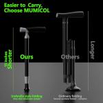 Adjustable Folding Canes with Pill Box - Black