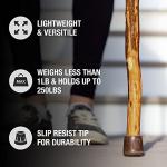 Brazos Rustic Wood Walking Cane with Knob Handle