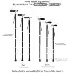 Adjustable Folding Canes with Pill Box - Black