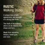Rustic Twisted Hickory Walking Stick for Seniors