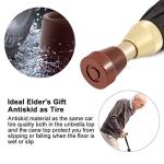 2-in-1 Walking Cane and Umbrella Combo