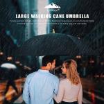 2-in-1 Walking Cane and Umbrella Combo