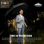 2-in-1 Walking Cane and Umbrella Combo