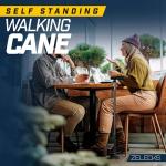 Adjustable Folding Walking Cane for Seniors