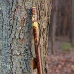 Brazos Rustic Wood Walking Stick with Traditional Handle