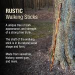 Brazos Rustic Hickory Walking Stick for All