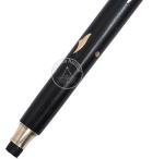 Vintage Solid Brass Lion Head Walking Cane