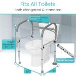 Vive Folding Toilet Safety Rail for Seniors