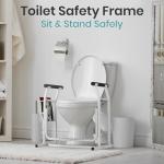 Vive Toilet Safety Rail with Support Arms