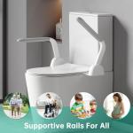 Heavy Duty Toilet Safety Rails for Seniors