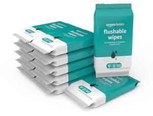 Amazon Basics Flushable Adult Toilet Wipes, Fragrance Free, 504 Count (12 Packs of 42)