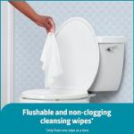 Medline Readyflush Biodegradable Flushable Wipes, 576 wipes (24 pack of 24 wipes)