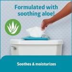 Medline Readyflush Biodegradable Flushable Wipes, 576 wipes (24 pack of 24 wipes)