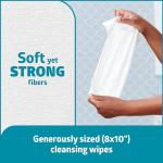 Medline Readyflush Biodegradable Flushable Wipes, 576 wipes (24 pack of 24 wipes)