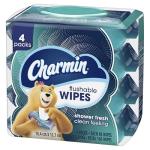 Charmin Flushable Wipes, 160 Total Wipes (4 Packs of 40)