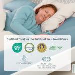 BANBALOO | Bed Rails for Elderly Adults Safety | Bed Restraints Guard Rails for Adults and Seniors | King, Queen, Twin, Full Size and Adjustable