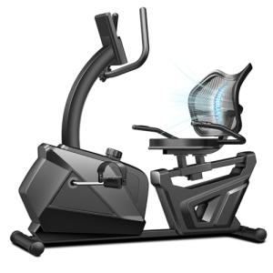 Quiet Recumbent Exercise Bike for Seniors