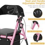 FlyingJoy Foldable Walker for Seniors with Seat