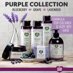 Lavender Organic Shampoo Gift Set - EcoLove