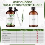 Pure Eucalyptus Essential Oil - 4oz Aromatherapy