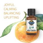Sweet Orange Essential Oil - 100% Organic 15mL