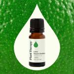 Plant Therapy 100% Pure Lime Essential Oil 10 mL