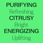 Plant Therapy 100% Pure Lime Essential Oil 10 mL