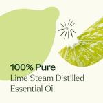 Plant Therapy 100% Pure Lime Essential Oil 10 mL