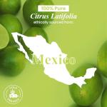 Lime Essential Oil – 100% Pure Natural 1 Fl Oz