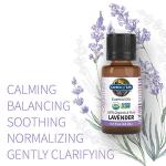 Lavender Essential Oil, 100% Organic & Pure