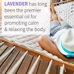 Lavender Essential Oil, 100% Organic & Pure