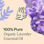 Organic Lavender Essential Oil - 100% Pure, 10 mL
