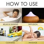 Lavender Essential Oil - 16 oz for Soap & Aromatherapy