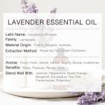 Pure Lavender Essential Oil - 100ML for Soaps & More