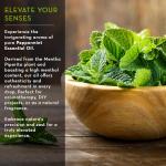 Peppermint Essential Oil for Relaxation and Focus