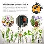 Peppermint Essential Oil for Soapmaking and Aromatherapy