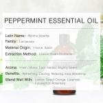Pure Peppermint Essential Oil for Soap Making