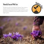 Peppermint Essential Oil for Soapmaking and Aromatherapy