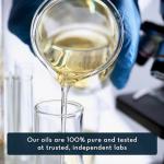 Peppermint Essential Oil for Relaxation and Focus