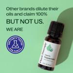 Organic Peppermint Essential Oil for Aromatherapy 30 mL