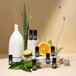 Cliganic Organic Rosemary Essential Oil for Hair and Skin