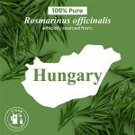 Rosemary Essential Oil - 4 Fl Oz Pure & Natural